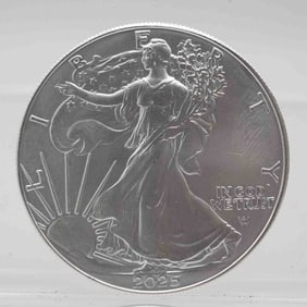 2025 American SIlver Eagle 1oz Silver Coin