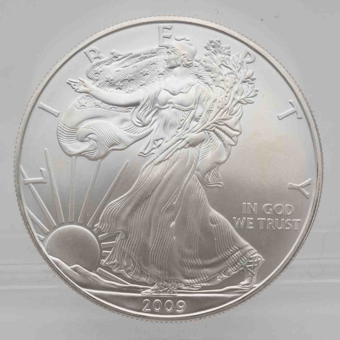 2009 American Silver Eagle 1oz Silver Coin (1 of 2)