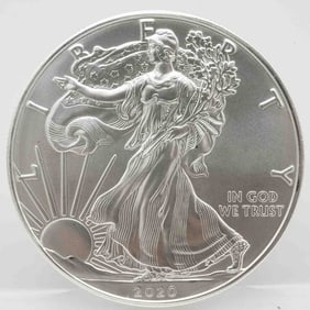 2020 American Silver Eagle 1oz Silver Coin