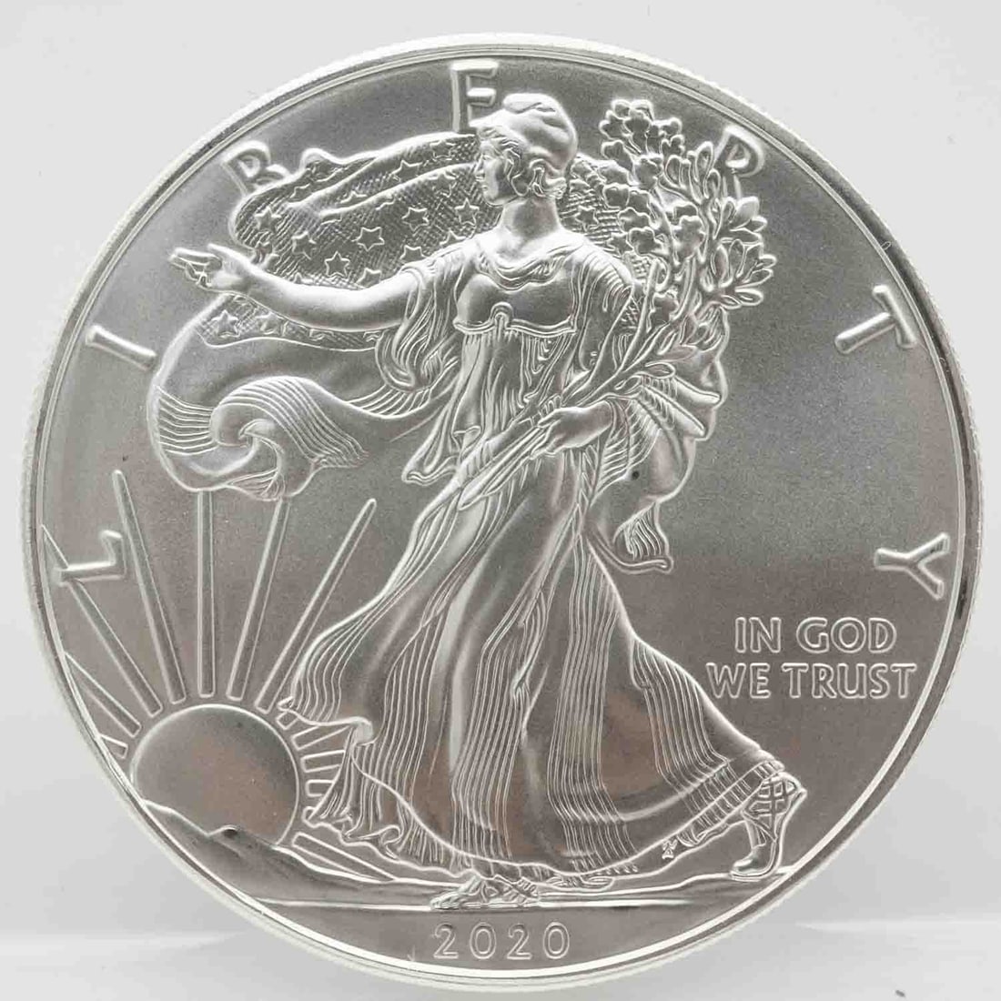2020 American Silver Eagle 1oz Silver Coin (1 of 2)
