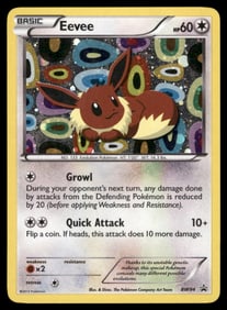 Eevee Black and White Promos #BW94 Holo Pokemon Card