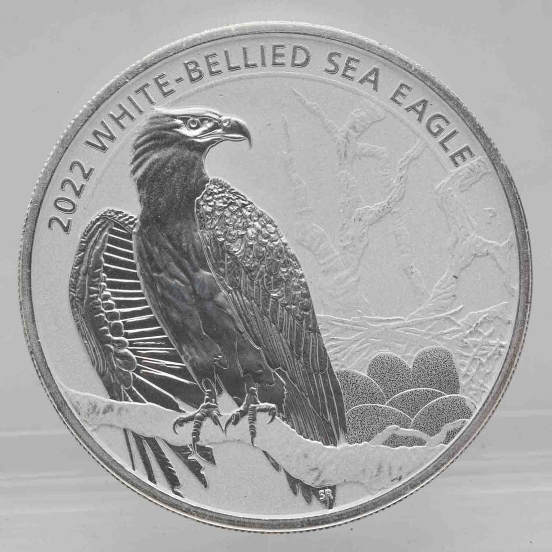 2022 Perth Mint White-Bellied Sea Eagle 1.5oz Silver Coin (1 of 2)