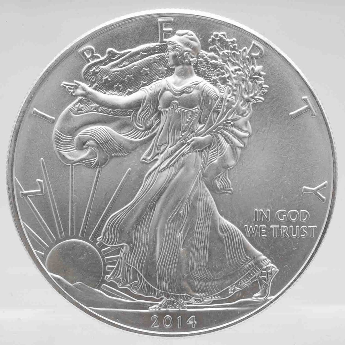 2014 American Silver Eagle 1oz Silver Coin (1 of 2)