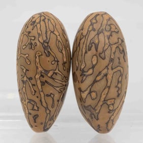 Thousand Eyes Bodhi Seed Pair