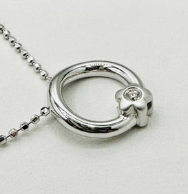 Natural Diamond Pendant and Chain, 14KT White Gold # 2502