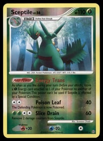 Sceptile Deck Exclusives #010/100 Holo Pokemon Card