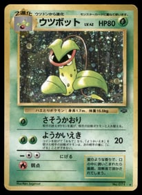 Victreebel (14) Jungle #14/64 Holo Pokemon Card
