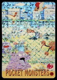 Wild Pokemon Holo Prism Sticker Japanese Pokemon Card Pocket Monsters