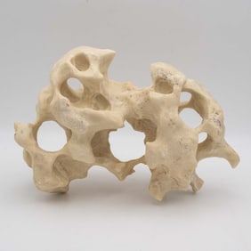 Chinese Gongshi Scholar's Rock