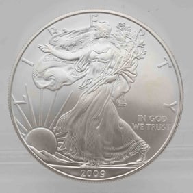 2009 American Silver Eagle 1oz Silver Coin
