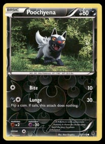 Poochyena XY - Phantom Forces #53/119 Holo Pokemon Card