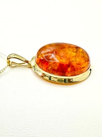14KT Yellow Gold Amber Oval Pendant and Chain # 2208