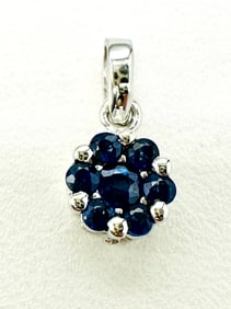 Natural Sapphire, 14KT White Gold Pendant # 2258
