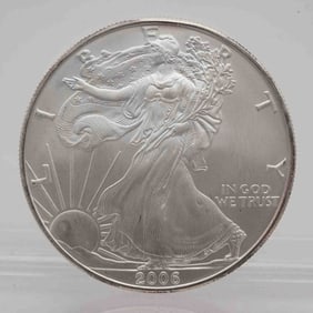 2006 American Silver Eagle 1oz Silver Coin