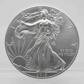 2013 American Silver Eagle 1oz Silver Coin