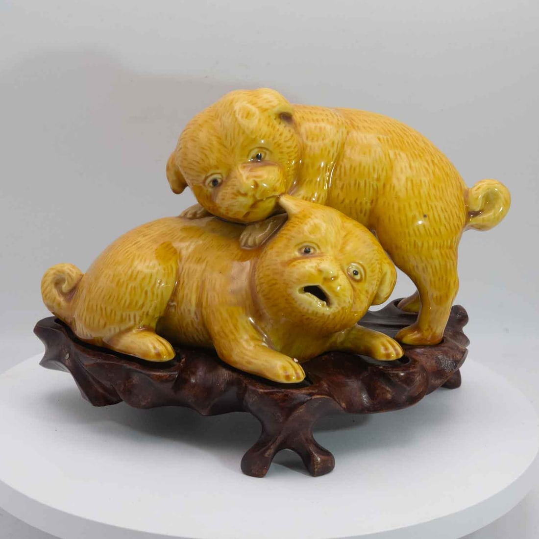 Vintage Chinese Export Porcelain Dogs With Wooden Stand (1 of 6)