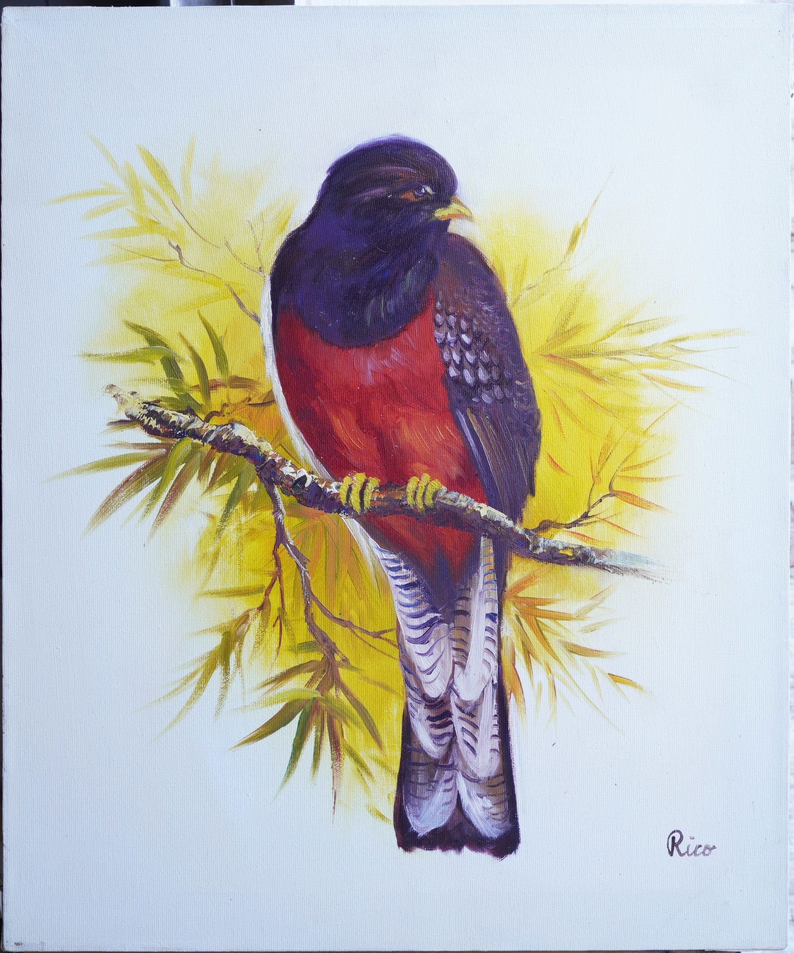 Maroon Trogon at Dawn Oil on Canvas Painting (1 of 9)