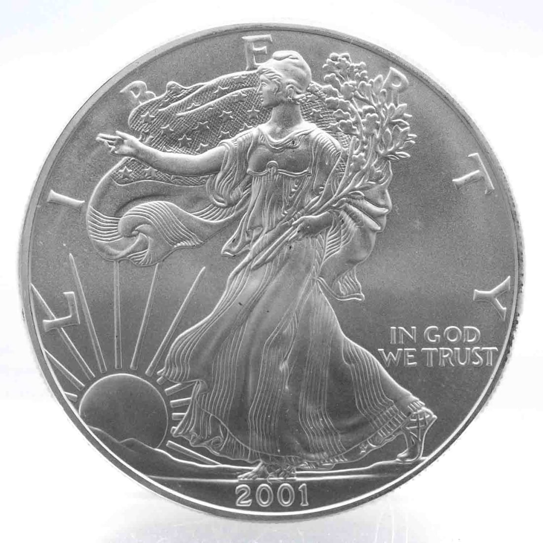 2001 American Silver Eagle 1oz Silver Coin (1 of 2)