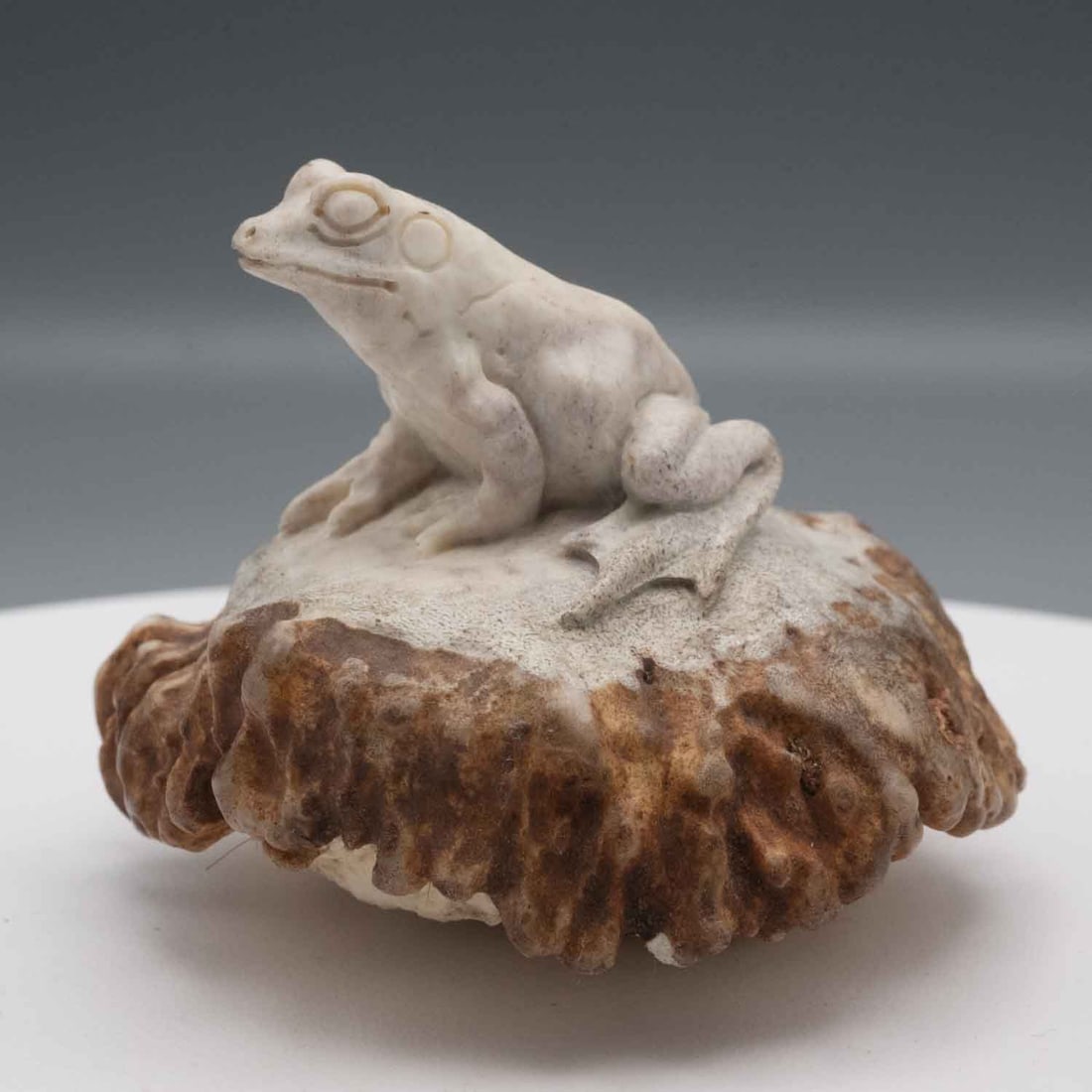 American Folk Art Deer Antler Frog Figure: Medium: Deer Antler Size: 2.7x2.5x2 inches Age/Detail: American Folk Art Condition: great overall, check photo for condition reference. Provenance: Collection from Estate in Williamsburg LiveShipping 