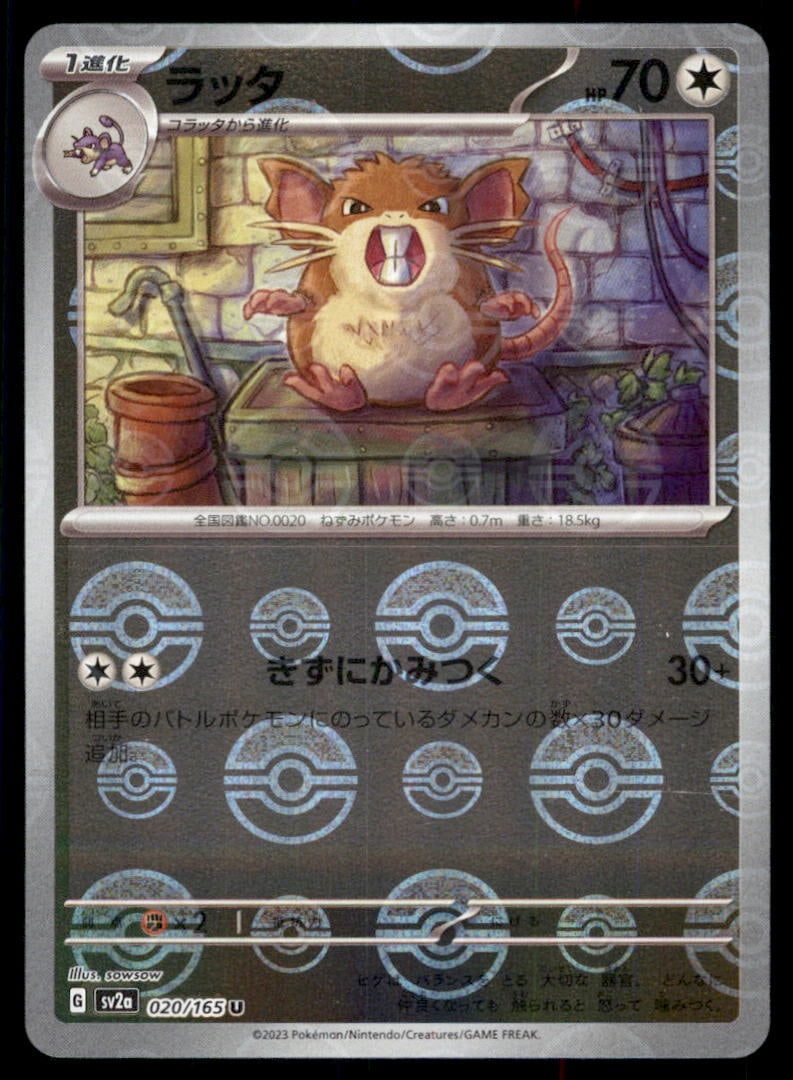 Raticate SV2a: Pokemon Card 151 #020/165 Pokemon Card: We offer combined shipping on multiple items. Buyers may also arrange their own shipping. LiveShipping is a separate and independent option for shipping that is NOT a part of the auction house or thei