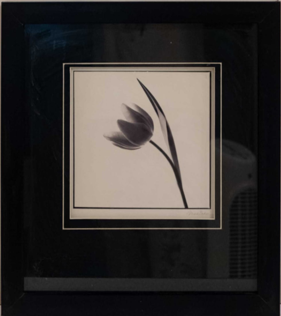 Vintage Wall Art On Paper "Tulip Impression": Title: Tulip Impression Medium: Wall Art On Paper Size: 8 x 9 inches Frame: 16 x 17 inches Age: Vintage Condition: Great, please check photo for condition reference Provenance: Estate in Tribeca Combi