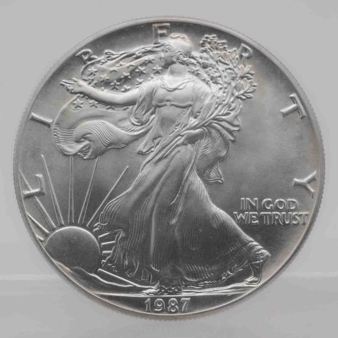 1987 American Silver Eagle 1oz Silver Coin (1 of 2)