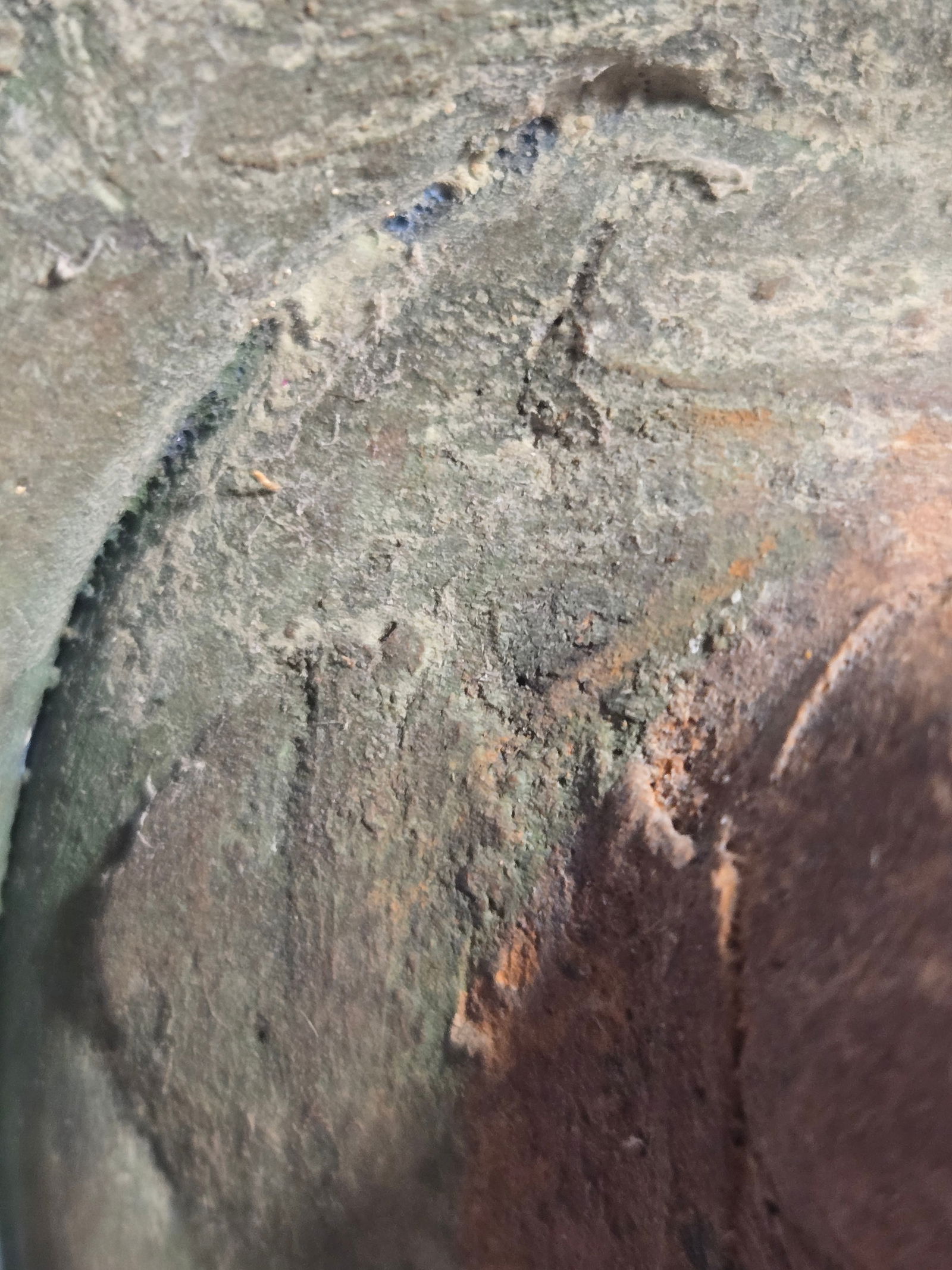 Pre-Columbian Ceramic Seat Figure, Tairona Style: Medium: Ceramic Size: 6x6x11 inches Age/Detail: Pre-Columbian Condition: great overall, check photo for condition reference. The surface presents earthen brown tones with areas of green mineral accret