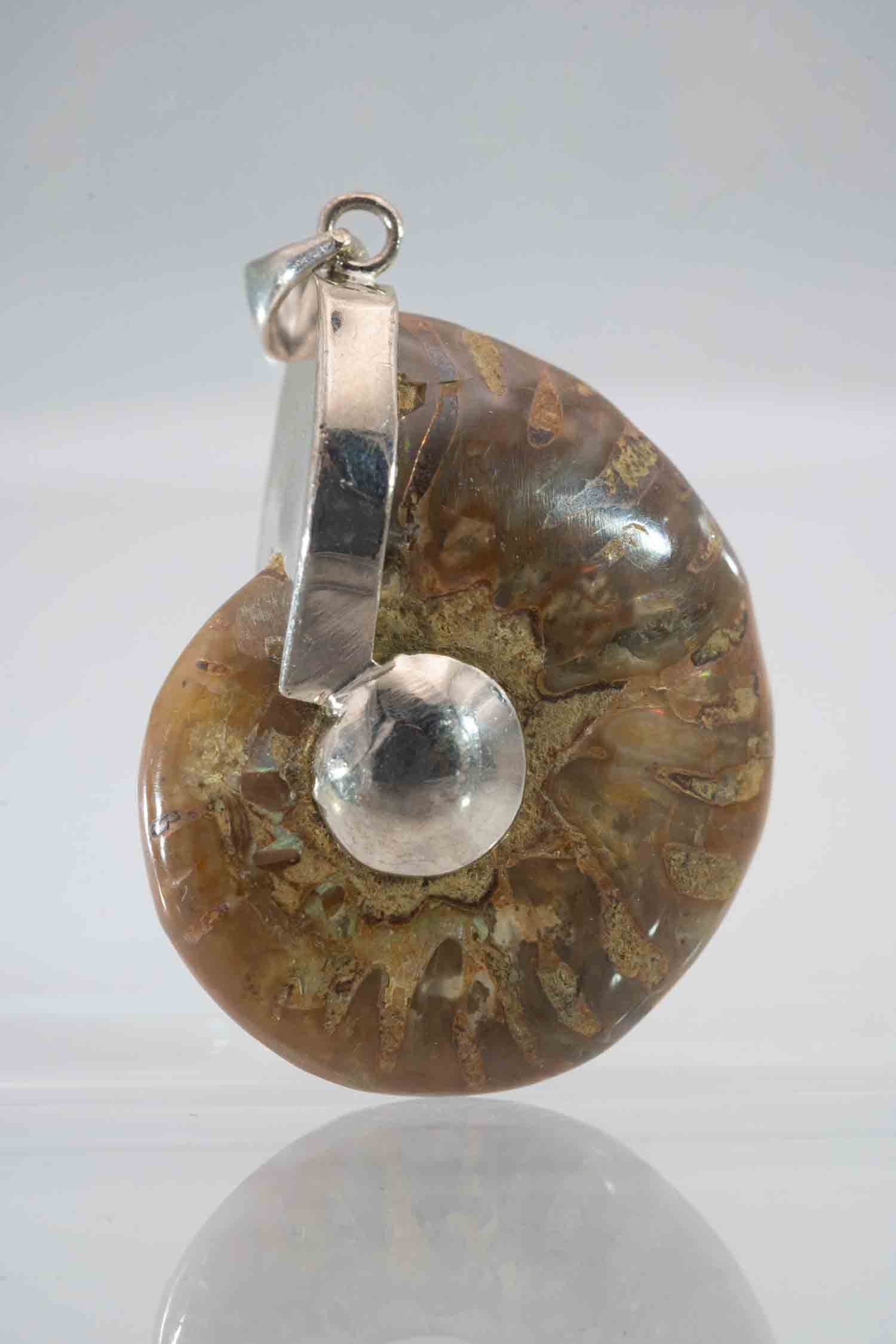 Natural Polished iridescent Fossil Ammolite Pendant: Medium: iridescent Fossil Ammolite Size: 1.5x1.3x0.6 inches Age/Detail: Natural Polished Condition: great overall, check photo for condition reference. Provenance: Collection from Estate in Williamsbu