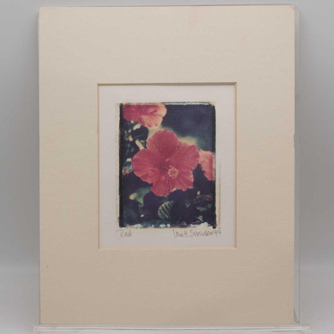 Lisa Sorensen Print On Paper Flower Red: Medium: Print On PaperSize: 8x10 inchesAge/Detail: Lisa SorensenCondition: great overall, check photo for condition reference.Provenance:Collection from Estate in WilliamsburgLiveShipping is NOT a par