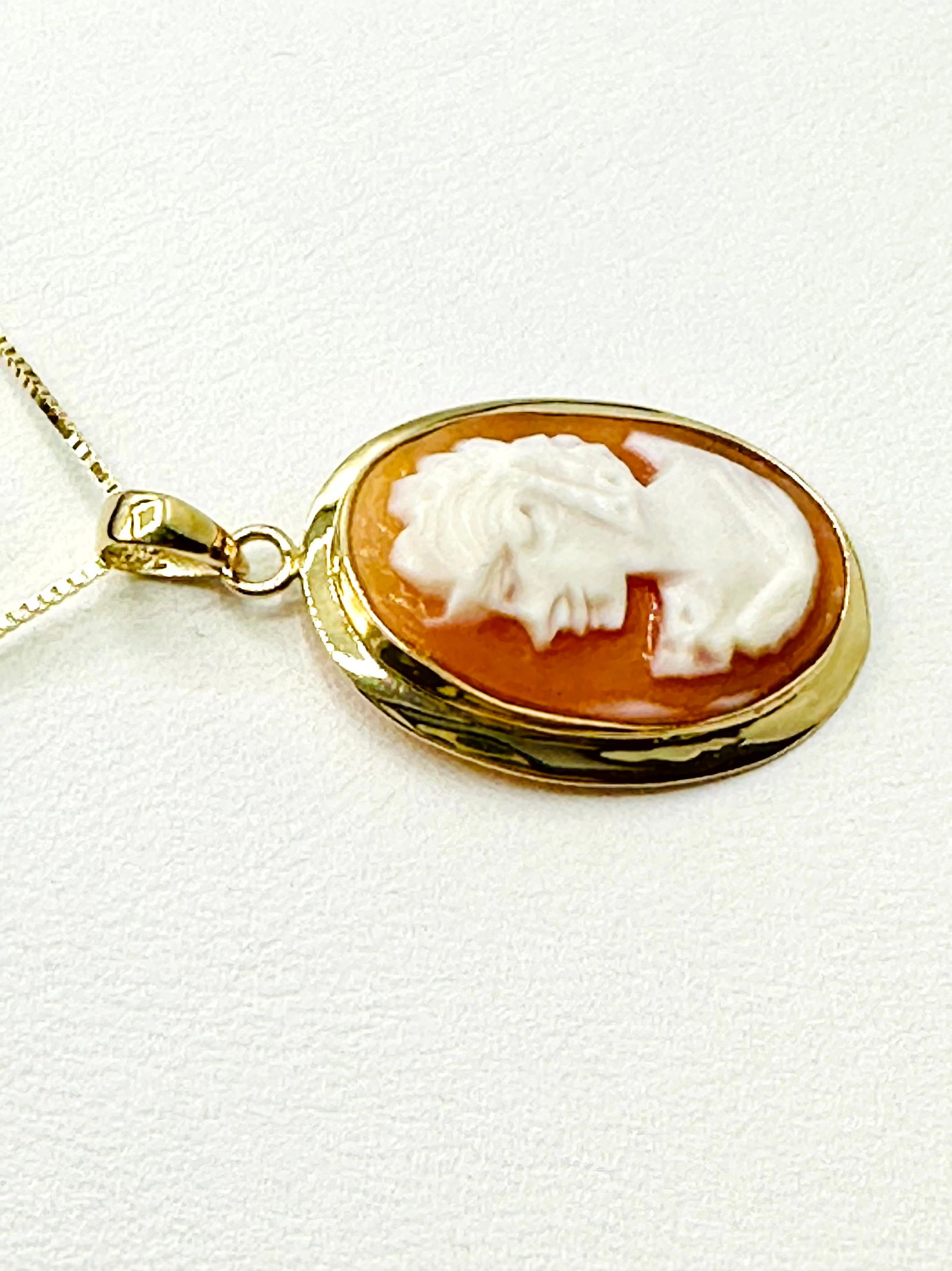 14KT Yellow Gold Cameo Oval Pendant and Chain # 2205 (1 of 3)