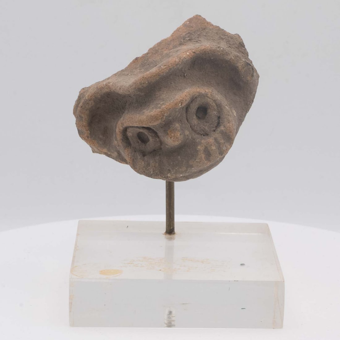 Prehistoric Fossil Vertebrate Bone (1 of 6)
