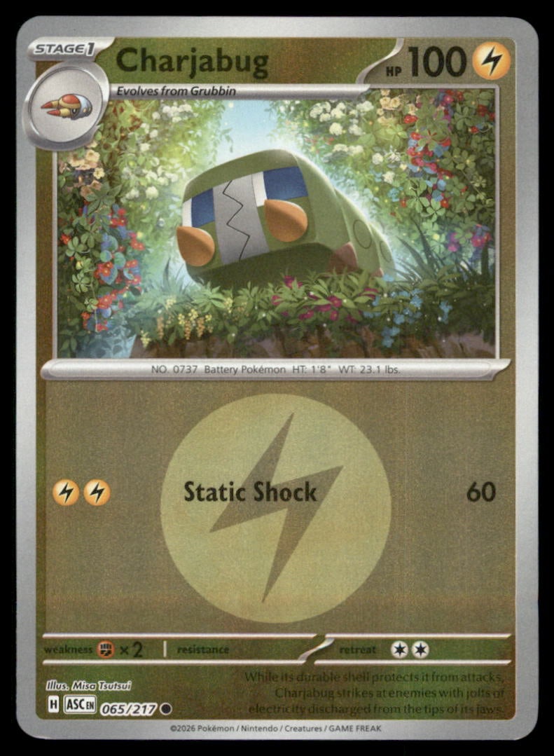 Charjabug Energy Symbol Pattern 065/217 Ascended Heroes Pokemon Reverse Holo: We offer combined shipping on multiple items. Buyers may also arrange their own shipping. LiveShipping is a separate and independent option for shipping that is NOT a part of the auction house or thei