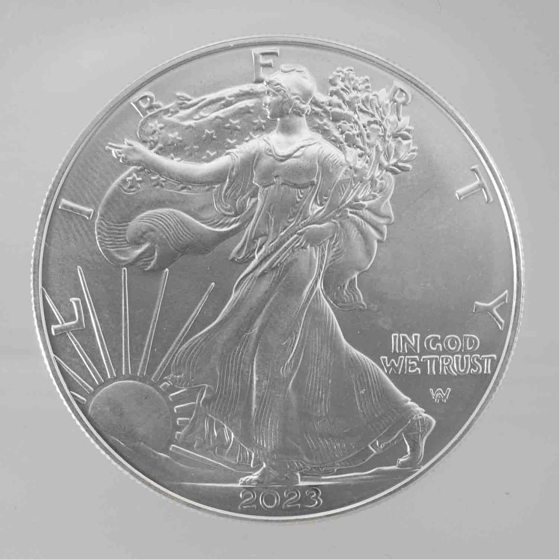 2023 American Silver Eagle 1oz Silver Coin (1 of 2)