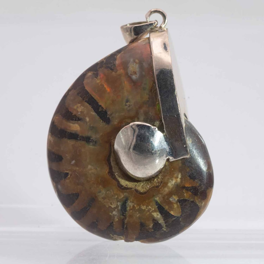 Old Opalized Ammolite Fossil Pendant: Medium: Opalized Ammolite Fossil Size: 1.5x1x0.5 inches Age/Detail: Old Condition: great overall, check photo for condition reference. Provenance: Collection from Estate in Williamsburg Please view al