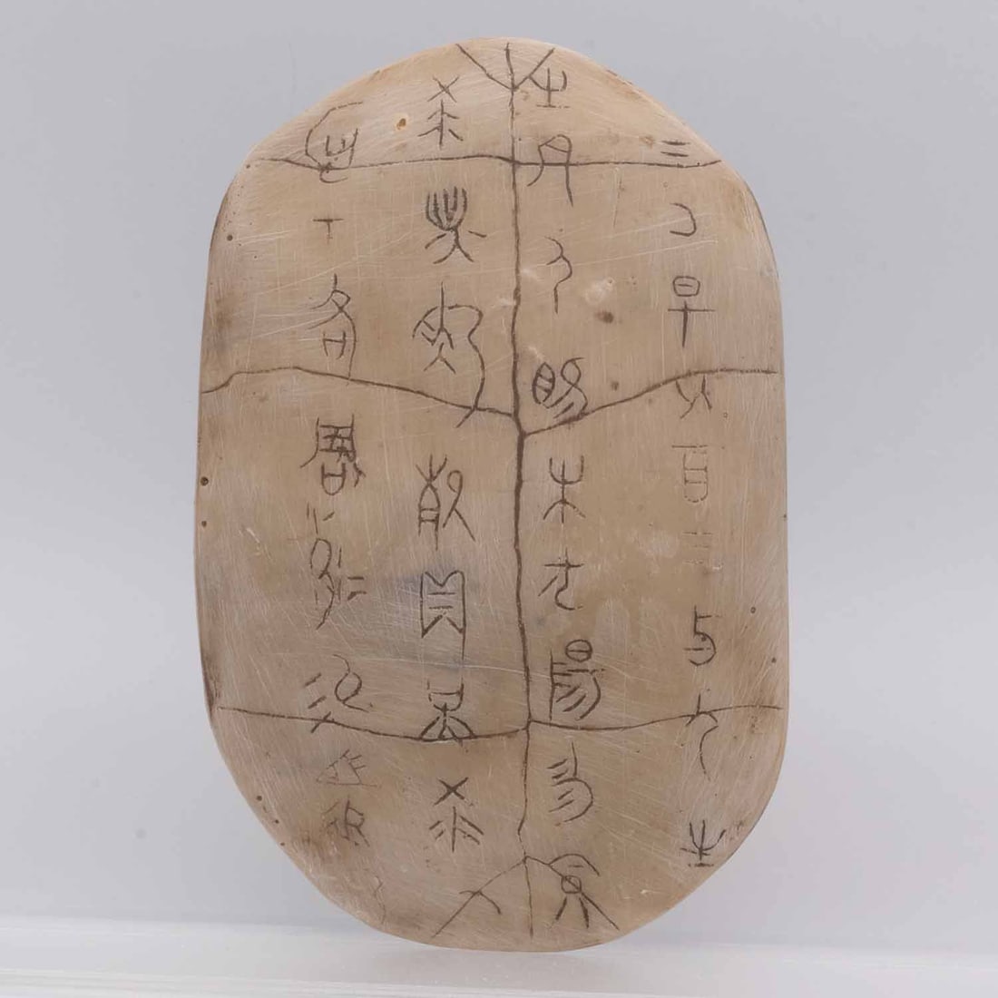 Chinese Turtle Plastron Oracle Bone Script