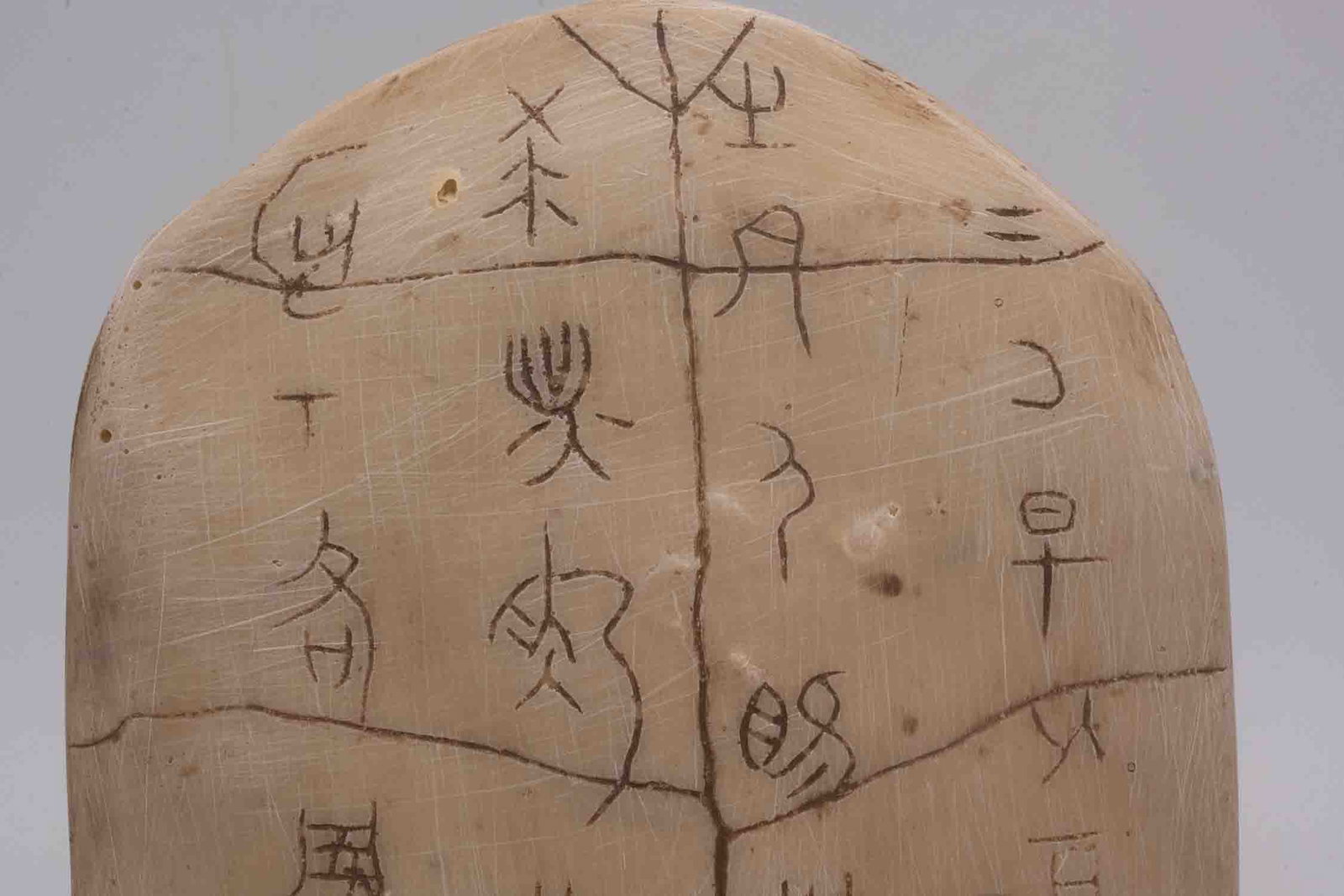 Chinese Turtle Plastron Oracle Bone Script - 2