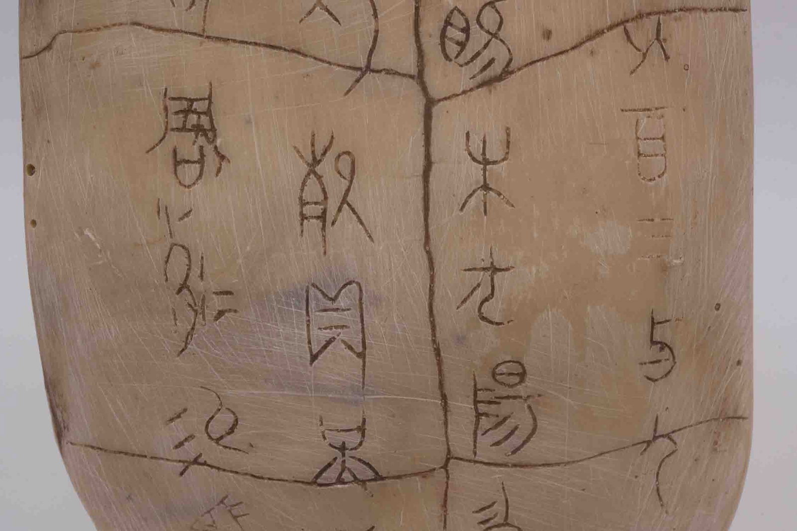 Chinese Turtle Plastron Oracle Bone Script - 3