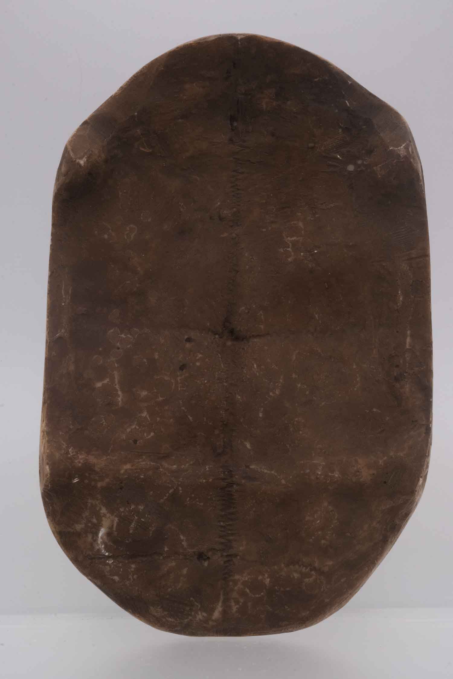 Chinese Turtle Plastron Oracle Bone Script - 5