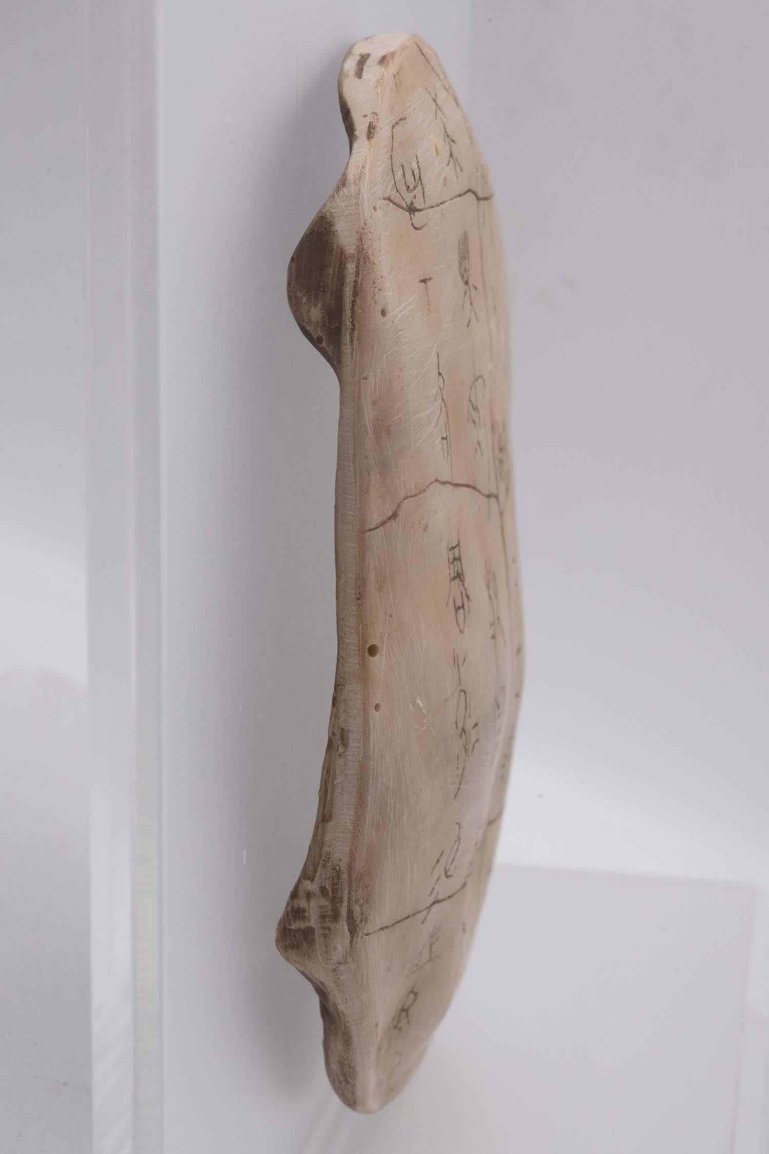 Chinese Turtle Plastron Oracle Bone Script - 6