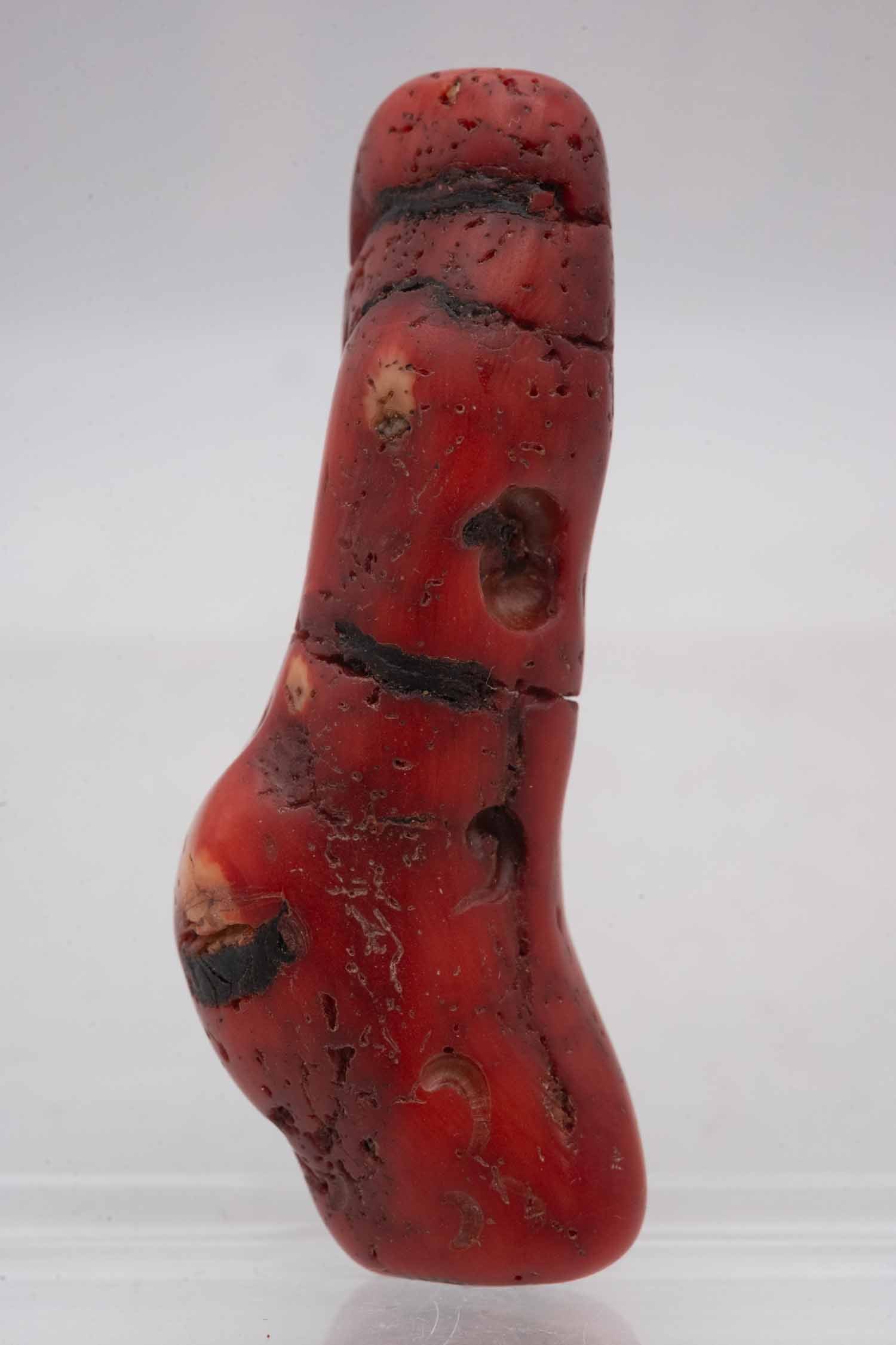 Natural Red Coral Branch - 2