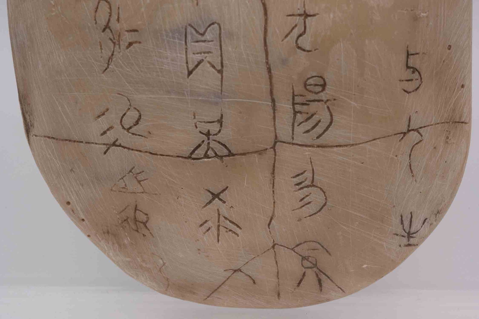 Chinese Turtle Plastron Oracle Bone Script - 4