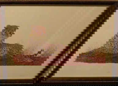 Cheetah - By D. Heyworth - 322/500