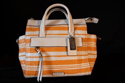 Bleecker Orange and White Striped Embossed Woven Leather Handbag