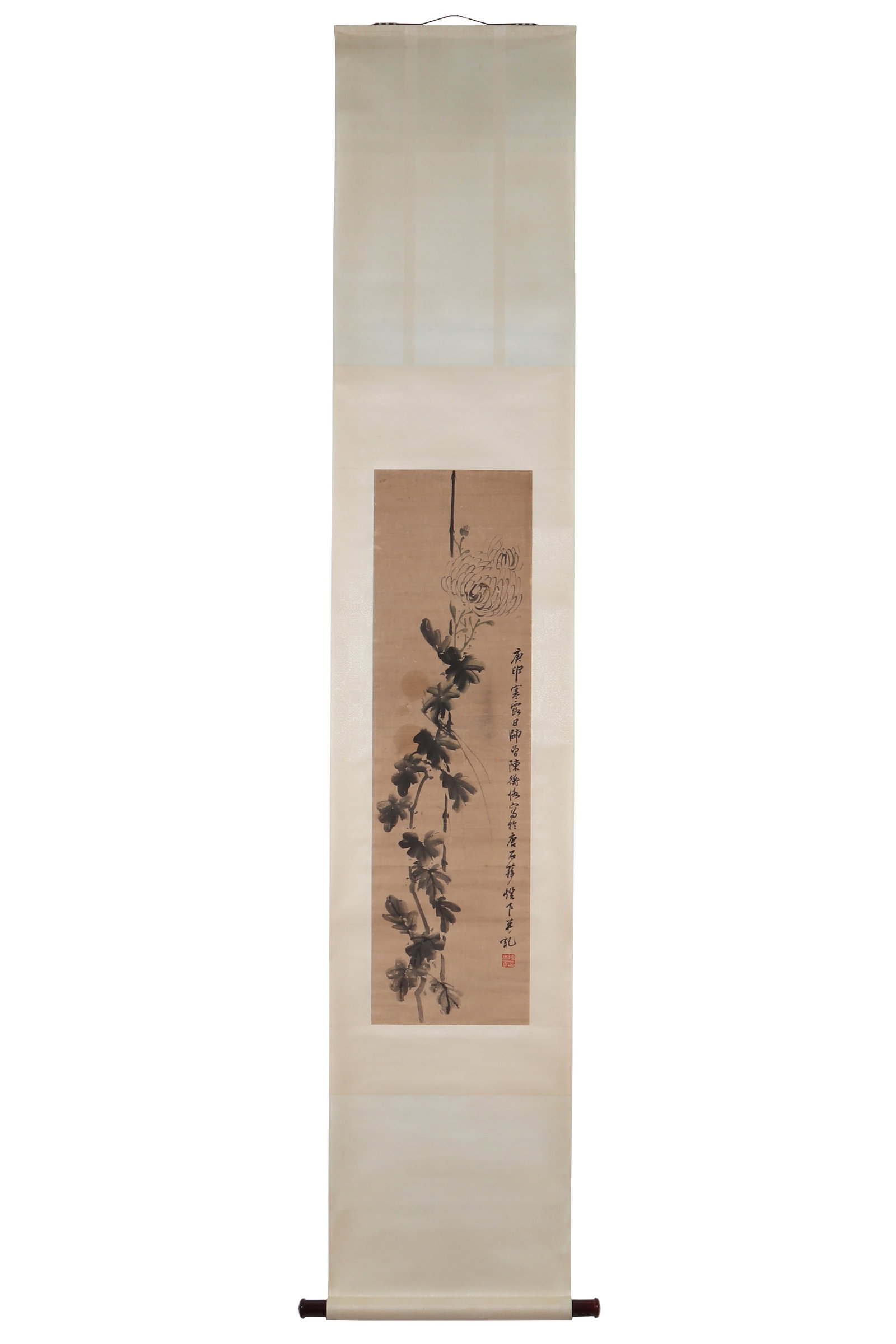A Chrysanthemum Painting, Signed by Chen Shizeng: A chrysanthemum painting, signed by Chen Shizeng, featuring a seal. Drawing a blooming chrysanthemum on paper with ink. Hanging scroll. H: 94cm W: 26.5cm (painting)