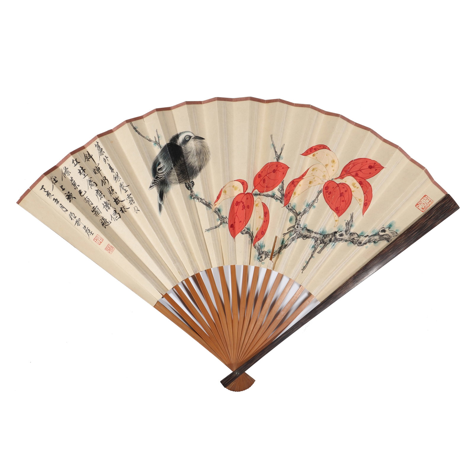 A Chinese Folding Fan, Signed by Xie Zhiliu, Written in calligraphy by Bai Jiao: A Chinese folding fan, there are colorful paintings of flowers and birds on the front, with the signature and seal of Xie Zhiliu. On the back, there is calligraphy written by Bai Jiao with a seal. H: 