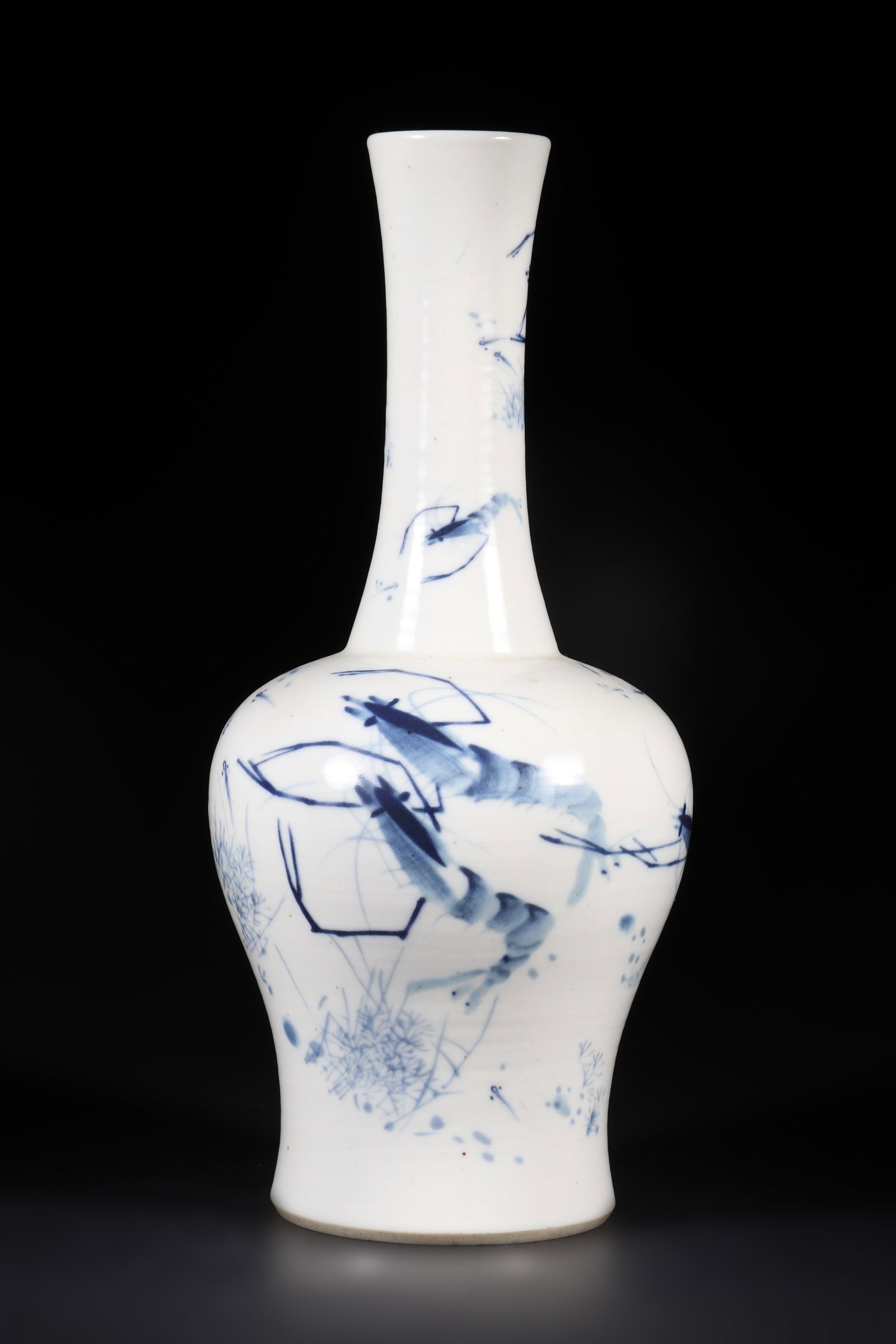 A Blue and White Porcelain Vase with The Words' Made in the Year of Emperor Guanxu of the Qing (1 of 7)