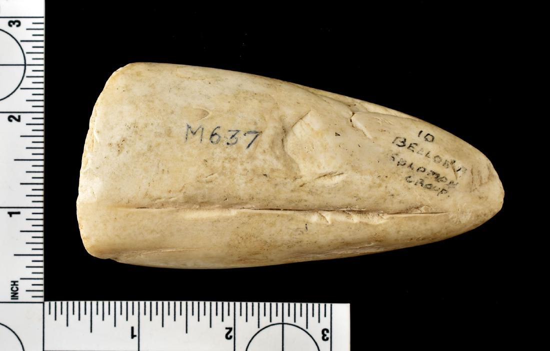 4 5/16" Giant Clam Shell Adze (1 of 2)