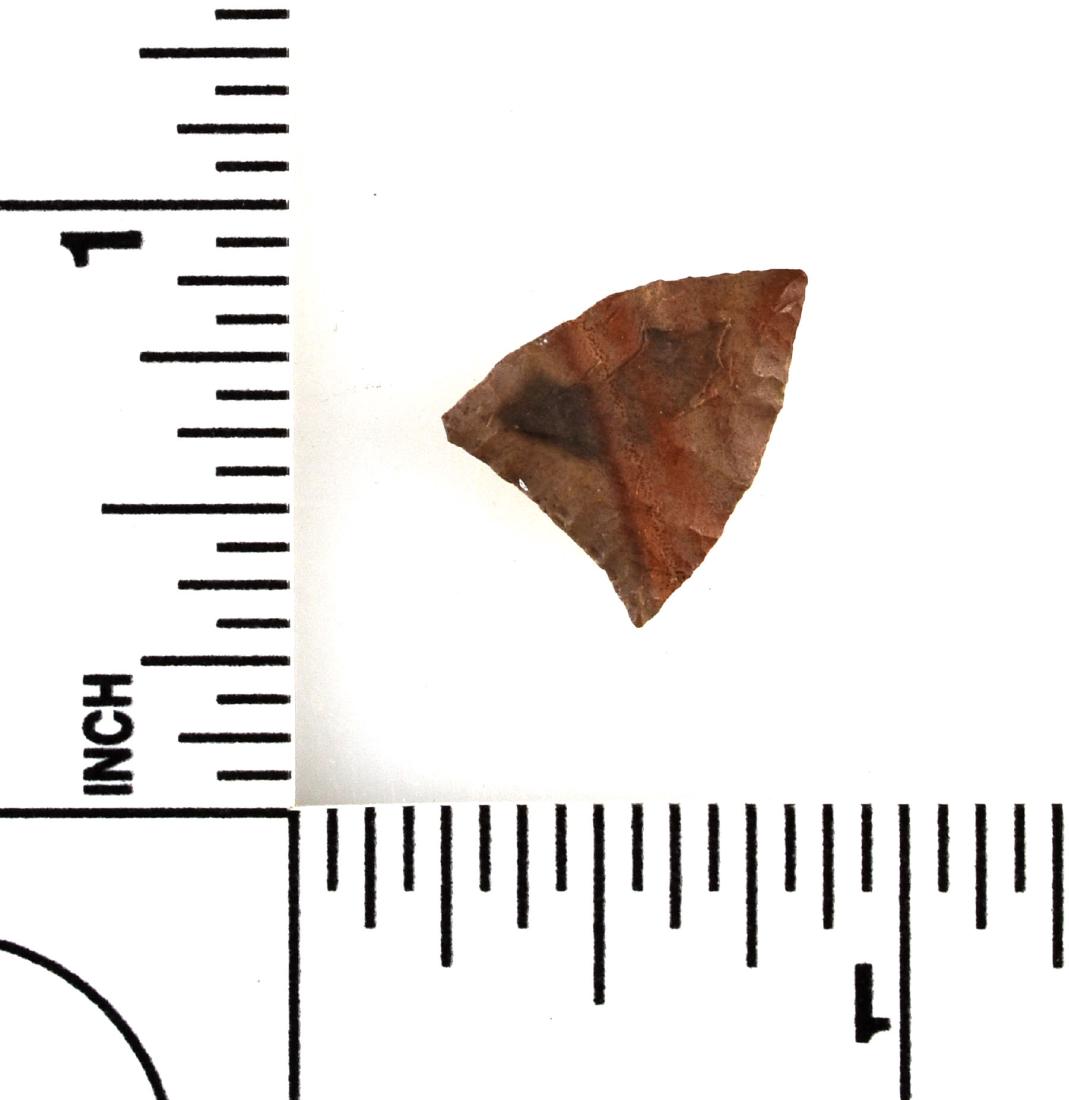 5/8" Kuril Islands Arrowhead - COA (1 of 2)