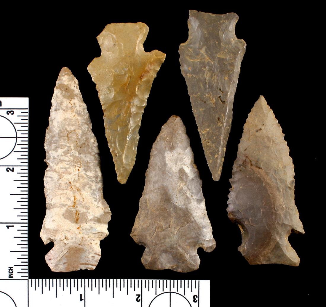 5 Nice Tennessee Archaic Points (1 of 1)