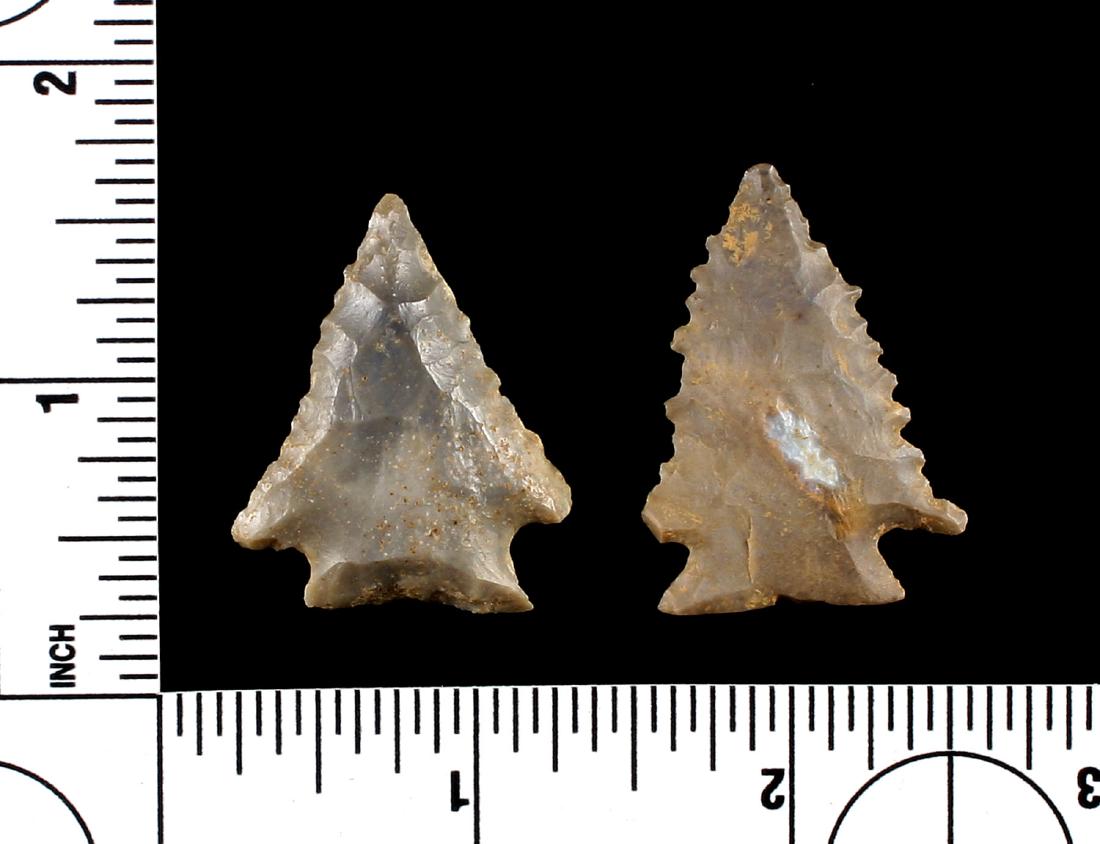 Pair of Tennessee Decatur Points (1 of 1)